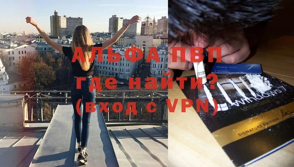 PSILOCYBIN Абаза
