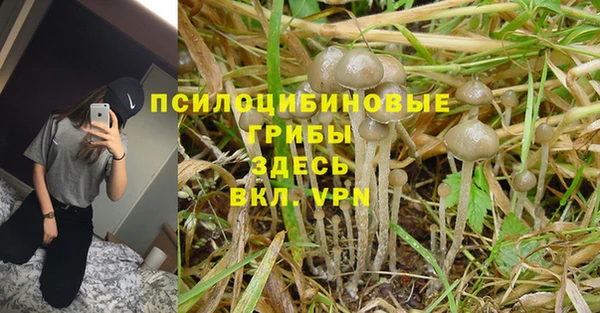 герыч Абдулино