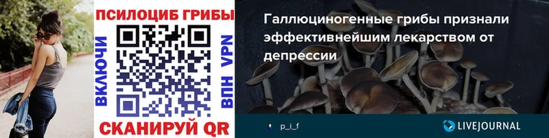 Псилоцибиновые грибы MAGIC MUSHROOMS  дарнет шоп  Мещовск 